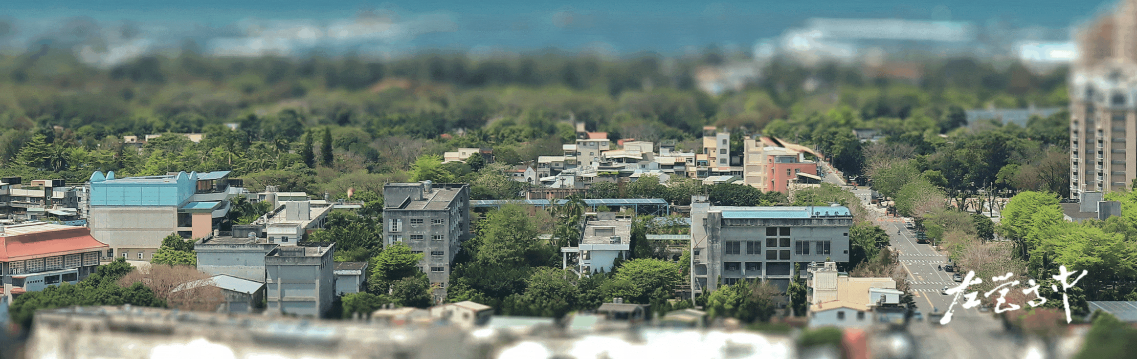 校園景觀及學生活動圖片